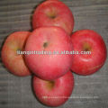 blush red fuji apple